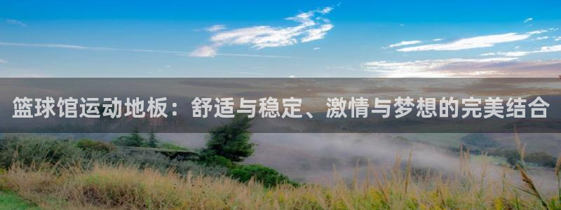 篮球馆运动地板：舒适与稳定、激情与梦想的