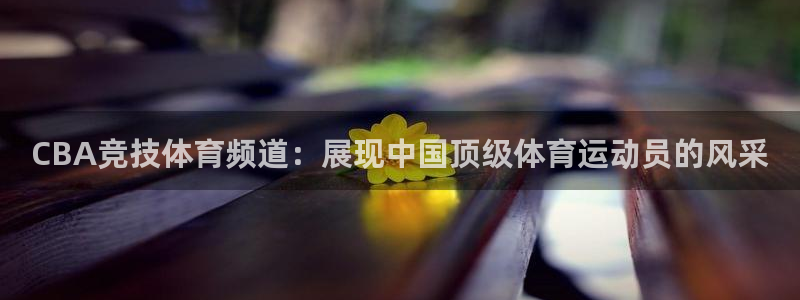 网球360直播在线观看：CBA竞技体育频
