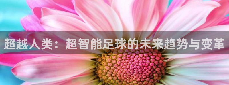 360直播cba